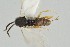  ( - DHJPAR0001561)  @11 [ ] CreativeCommons - Attribution Non-Commercial Share-Alike (2015) Jose L. Fernandez-Triana Canadian National Collection