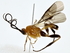  ( - BIOUG71215-D12)  @11 [ ] CreativeCommons - Attribution (2022) CBG Photography Group Centre for Biodiversity Genomics