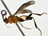  ( - BIOUG71215-G02)  @11 [ ] CreativeCommons - Attribution (2022) CBG Photography Group Centre for Biodiversity Genomics