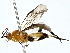  ( - BIOUG80188-D07)  @11 [ ] CreativeCommons - Attribution (2022) CBG Photography Group Centre for Biodiversity Genomics
