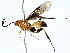  ( - BIOUG80188-D08)  @11 [ ] CreativeCommons - Attribution (2022) CBG Photography Group Centre for Biodiversity Genomics