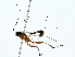  ( - BIOUG80188-E10)  @11 [ ] CreativeCommons - Attribution (2022) CBG Photography Group Centre for Biodiversity Genomics