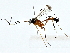  ( - BIOUG80188-F07)  @11 [ ] CreativeCommons - Attribution (2022) CBG Photography Group Centre for Biodiversity Genomics