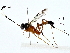  ( - BIOUG80188-F08)  @11 [ ] CreativeCommons - Attribution (2022) CBG Photography Group Centre for Biodiversity Genomics
