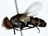  ( - BIOUG80195-B08)  @11 [ ] CreativeCommons - Attribution (2022) CBG Photography Group Centre for Biodiversity Genomics