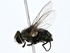  ( - BIOUG80195-G09)  @11 [ ] CreativeCommons - Attribution (2022) CBG Photography Group Centre for Biodiversity Genomics