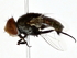  ( - BIOUG80195-H05)  @11 [ ] CreativeCommons - Attribution (2022) CBG Photography Group Centre for Biodiversity Genomics