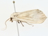  ( - BIOUG80197-A03)  @11 [ ] CreativeCommons - Attribution (2022) CBG Photography Group Centre for Biodiversity Genomics