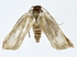  ( - BIOUG80198-D12)  @11 [ ] CreativeCommons - Attribution (2022) CBG Photography Group Centre for Biodiversity Genomics