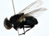  ( - BIOUG80200-B10)  @11 [ ] CreativeCommons - Attribution (2022) CBG Photography Group Centre for Biodiversity Genomics