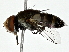  ( - BIOUG80729-E02)  @11 [ ] CreativeCommons - Attribution (2022) CBG Photography Group Centre for Biodiversity Genomics