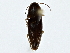  ( - BIOUG80729-E12)  @11 [ ] CreativeCommons - Attribution (2022) CBG Photography Group Centre for Biodiversity Genomics