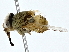  ( - BIOUG80730-F10)  @11 [ ] CreativeCommons - Attribution (2022) CBG Photography Group Centre for Biodiversity Genomics