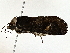  ( - BIOUG80731-H02)  @11 [ ] CreativeCommons - Attribution (2022) CBG Photography Group Centre for Biodiversity Genomics