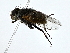  ( - BIOUG80735-G06)  @11 [ ] CreativeCommons - Attribution (2022) CBG Photography Group Centre for Biodiversity Genomics