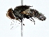  ( - BIOUG80736-B08)  @11 [ ] CreativeCommons - Attribution (2022) CBG Photography Group Centre for Biodiversity Genomics