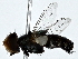  ( - BIOUG80737-F12)  @11 [ ] CreativeCommons - Attribution (2022) CBG Photography Group Centre for Biodiversity Genomics