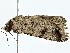  ( - BIOUG80741-D06)  @11 [ ] CreativeCommons - Attribution (2022) CBG Photography Group Centre for Biodiversity Genomics