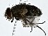  ( - BIOUG80744-E12)  @11 [ ] CreativeCommons - Attribution (2022) CBG Photography Group Centre for Biodiversity Genomics