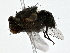  ( - BIOUG80744-F02)  @11 [ ] CreativeCommons - Attribution (2022) CBG Photography Group Centre for Biodiversity Genomics