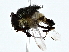  ( - BIOUG80744-F05)  @11 [ ] CreativeCommons - Attribution (2022) CBG Photography Group Centre for Biodiversity Genomics