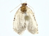  ( - BIOUG80757-C09)  @11 [ ] CreativeCommons - Attribution (2022) CBG Photography Group Centre for Biodiversity Genomics