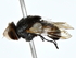  ( - BIOUG80757-F05)  @11 [ ] CreativeCommons - Attribution (2022) CBG Photography Group Centre for Biodiversity Genomics