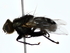  ( - BIOUG80758-B06)  @11 [ ] CreativeCommons - Attribution (2022) CBG Photography Group Centre for Biodiversity Genomics