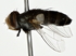  ( - BIOUG80760-F02)  @11 [ ] CreativeCommons - Attribution (2022) CBG Photography Group Centre for Biodiversity Genomics