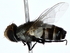  ( - BIOUG80760-F10)  @11 [ ] CreativeCommons - Attribution (2022) CBG Photography Group Centre for Biodiversity Genomics
