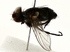  ( - BIOUG80760-G01)  @11 [ ] CreativeCommons - Attribution (2022) CBG Photography Group Centre for Biodiversity Genomics