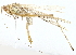  ( - BIOUG80762-F06)  @11 [ ] CreativeCommons - Attribution (2022) CBG Photography Group Centre for Biodiversity Genomics