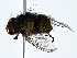  ( - BIOUG80762-G11)  @11 [ ] CreativeCommons - Attribution (2022) CBG Photography Group Centre for Biodiversity Genomics