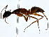  ( - BIOUG80764-G09)  @11 [ ] CreativeCommons - Attribution (2022) CBG Photography Group Centre for Biodiversity Genomics