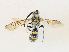  ( - CBG-A31814-E02)  @11 [ ] CreativeCommons - Attribution Share - Alike (2024) CBG Photography Group Centre for Biodiversity Genomics