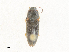  ( - CBG-A31815-C01)  @11 [ ] CreativeCommons - Attribution Share - Alike (2024) CBG Photography Group Centre for Biodiversity Genomics