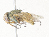  ( - CBG-A31816-D08)  @11 [ ] CreativeCommons - Attribution Share - Alike (2024) CBG Photography Group Centre for Biodiversity Genomics