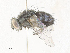  ( - CBG-A31816-F01)  @11 [ ] CreativeCommons - Attribution Share - Alike (2024) CBG Photography Group Centre for Biodiversity Genomics