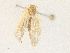  ( - CBG-A31820-B03)  @11 [ ] CreativeCommons - Attribution Share - Alike (2024) CBG Photography Group Centre for Biodiversity Genomics