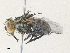  ( - CBG-A31820-B06)  @11 [ ] CreativeCommons - Attribution Share - Alike (2024) CBG Photography Group Centre for Biodiversity Genomics