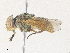  ( - CBG-A31820-B07)  @11 [ ] CreativeCommons - Attribution Share - Alike (2024) CBG Photography Group Centre for Biodiversity Genomics