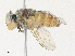  ( - CBG-A31820-B08)  @11 [ ] CreativeCommons - Attribution Share - Alike (2024) CBG Photography Group Centre for Biodiversity Genomics