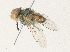  ( - CBG-A31820-D06)  @11 [ ] CreativeCommons - Attribution Share - Alike (2024) CBG Photography Group Centre for Biodiversity Genomics