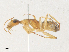  ( - CBG-A31820-F06)  @11 [ ] CreativeCommons - Attribution Share - Alike (2024) CBG Photography Group Centre for Biodiversity Genomics
