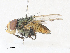  ( - CBG-A31825-A12)  @11 [ ] CreativeCommons - Attribution Share - Alike (2024) CBG Photography Group Centre for Biodiversity Genomics
