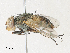  ( - CBG-A31825-E07)  @11 [ ] CreativeCommons - Attribution Share - Alike (2024) CBG Photography Group Centre for Biodiversity Genomics