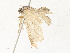  ( - CBG-A31827-B05)  @11 [ ] CreativeCommons - Attribution Share - Alike (2024) CBG Photography Group Centre for Biodiversity Genomics