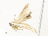  ( - CBG-A31827-C07)  @11 [ ] CreativeCommons - Attribution Share - Alike (2024) CBG Photography Group Centre for Biodiversity Genomics