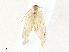  ( - CBG-A31827-D03)  @11 [ ] CreativeCommons - Attribution Share - Alike (2024) CBG Photography Group Centre for Biodiversity Genomics