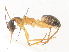  ( - CBG-A31827-E11)  @11 [ ] CreativeCommons - Attribution Share - Alike (2024) CBG Photography Group Centre for Biodiversity Genomics